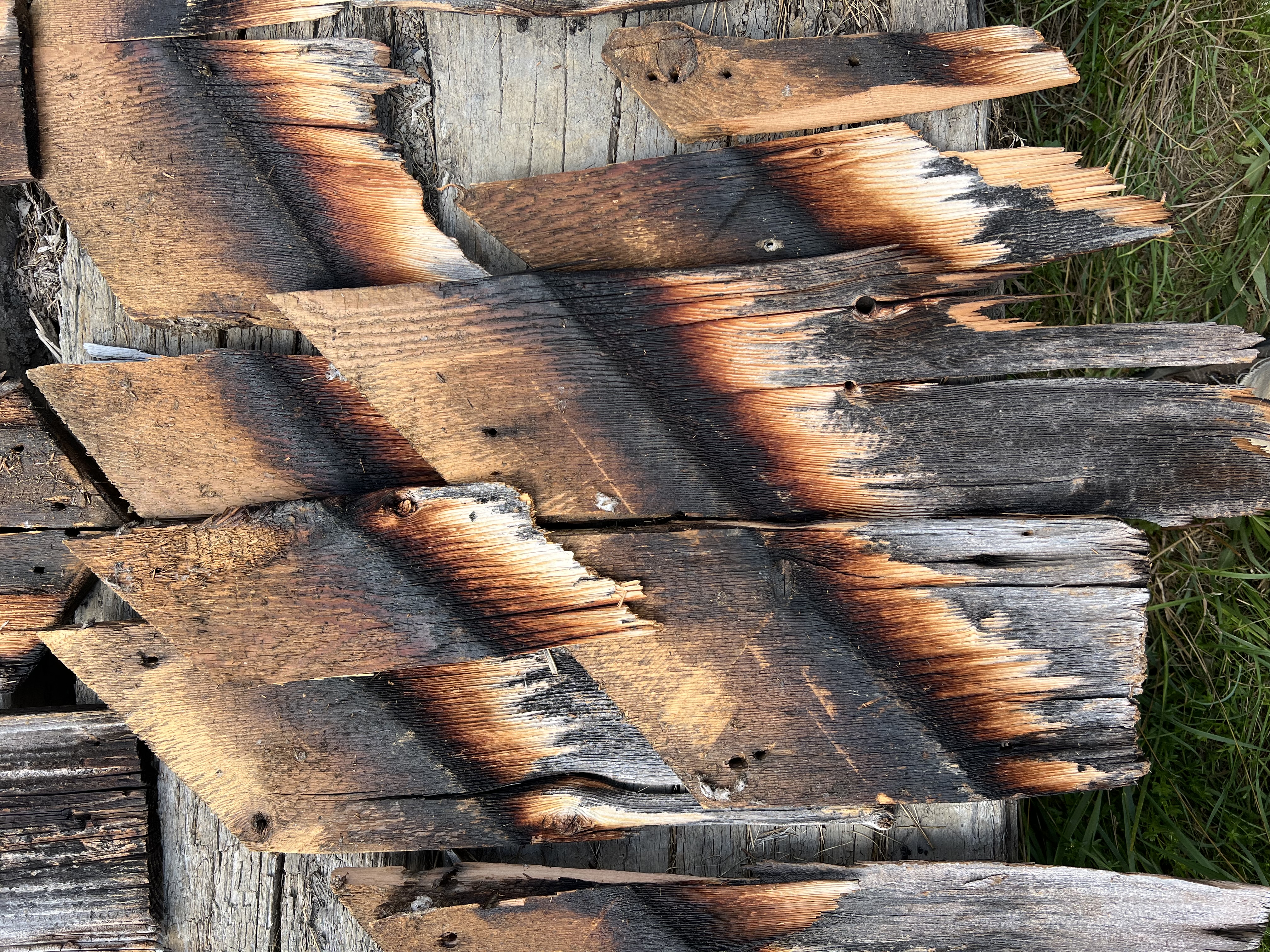 140+ year old weathered barn siding