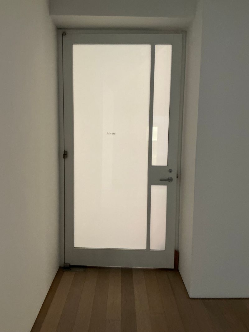 Large Door with 3 Translucent Windows