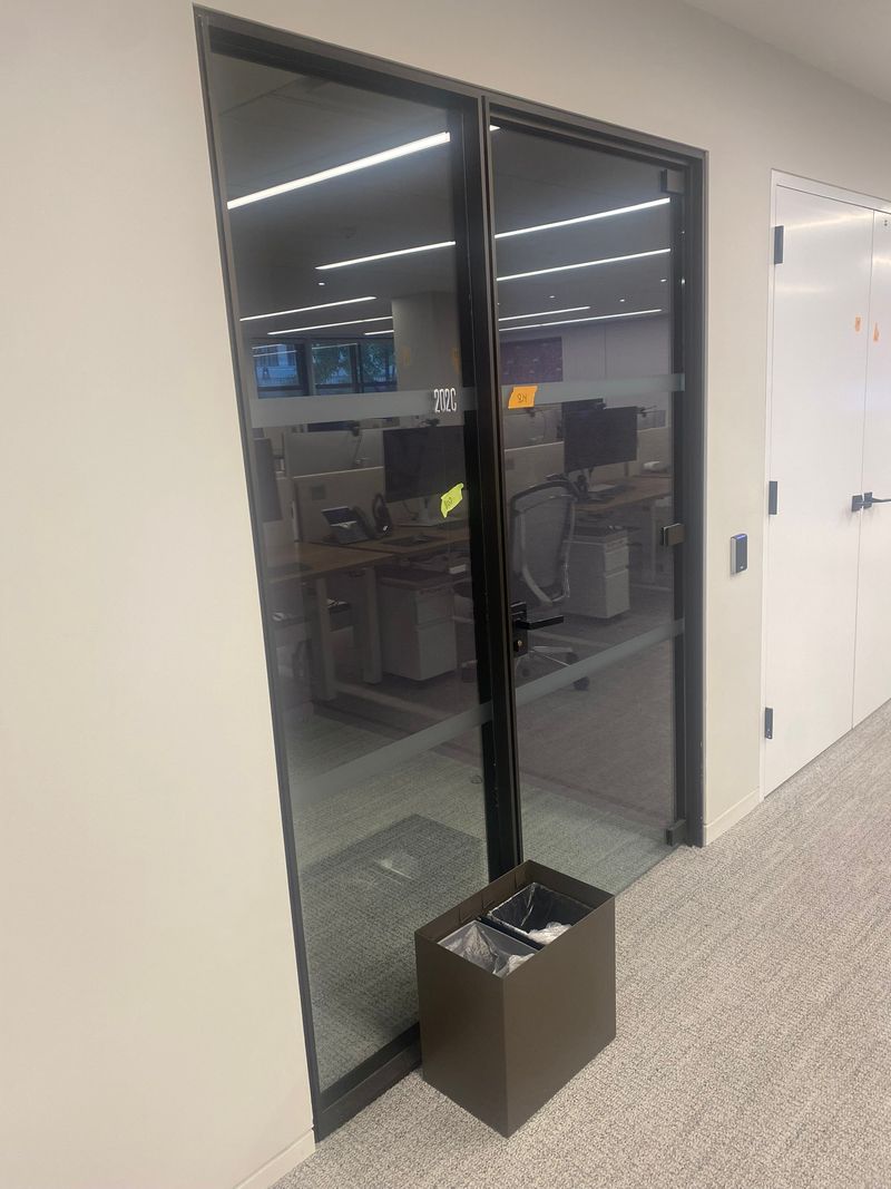 Glass panels and door